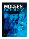 Modern Pathology