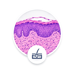 Dermatopatología
